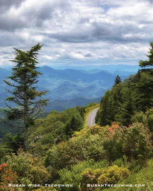   
A winding mountain road curves through dense evergreens near Waterrock Knob Visitor Center. Layers of blue‑toned ridges stretch into the distance beneath a partly cloudy sky.