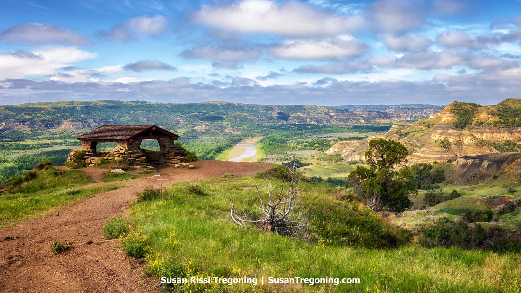 Exploring the North Dakota Badlands: Theodore Roosevelt National Park and the TR Presidential Library
