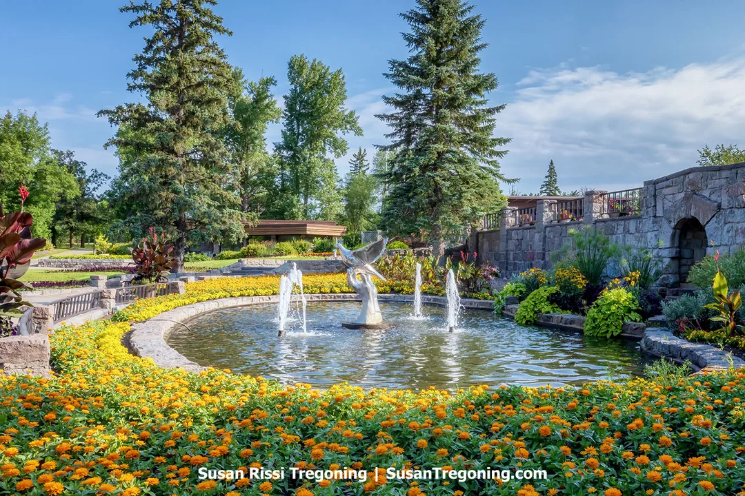 Promise of Peace sculpture featuring a dove rising from an open hand at the center of the  fountain in the International Peace Garden, surrounded by vibrant yellow flowers and lush greenery.”